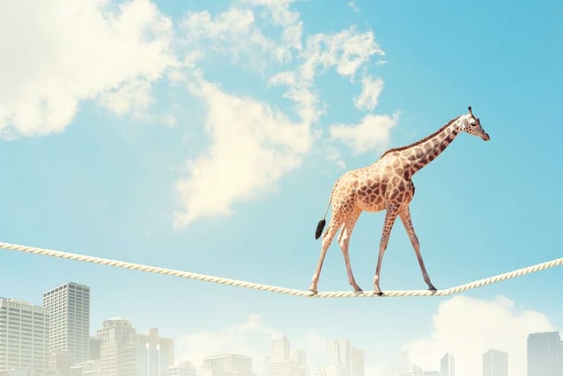 Giraffe walking on a tightrope above a city skyline