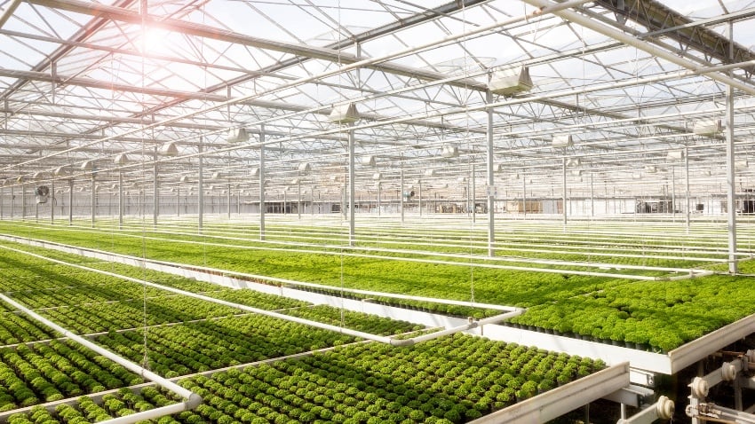 Greenhouse Solutions